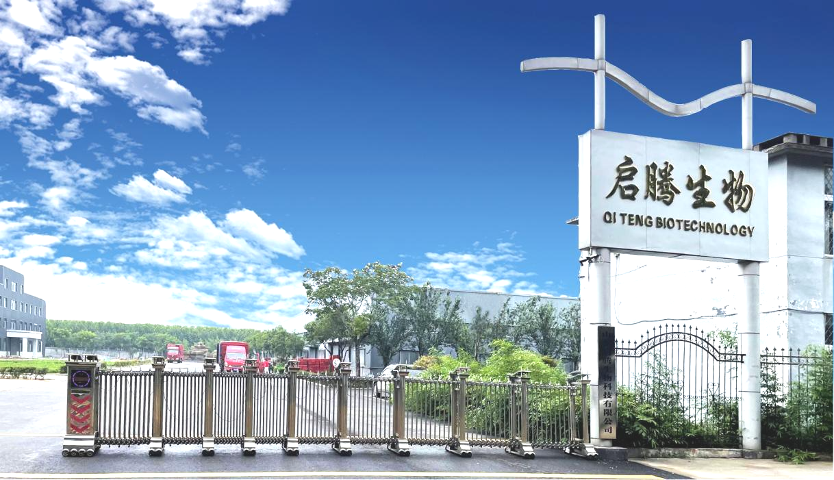 7756cb8d1dd1915afa1879b82adfb01.png